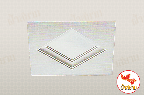 ฝ้าเพดานหลุม